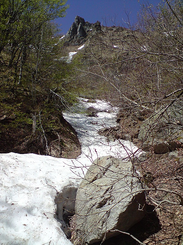 #1 Départ : Ca passerai non stop depuis la forêt s Départ : Ca passerai non stop depuis la forêt s'il n'y avait pas...