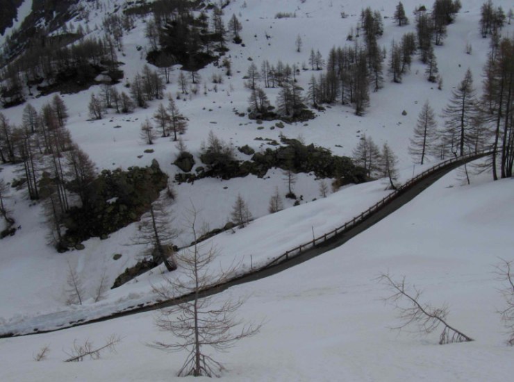 #2 Route de la Cayolle : On s Route de la Cayolle : On s'élève au dessus de la Route de la Cayolle