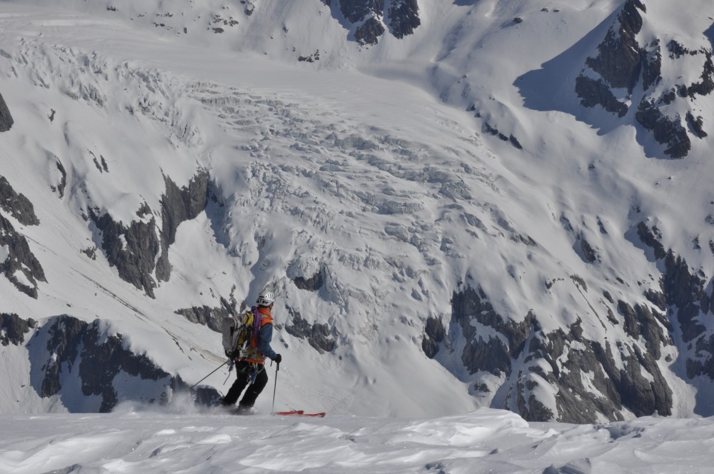 #12 Descente : Mick, cueille les violettes face au glacier Blanc Descente : Mick, cueille les violettes face au glacier Blanc