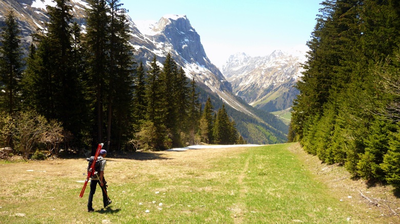 #15 Arrivée aux fontanettes : Moquette à poils longs et verts Arrivée aux fontanettes : Moquette à poils longs et verts