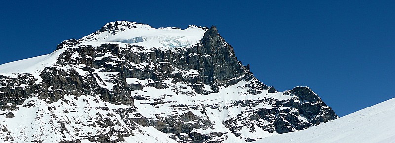 #34 Le Grand Paradis - 4061m : Coup d Le Grand Paradis - 4061m : Coup d'oeil sur le sommet du jour