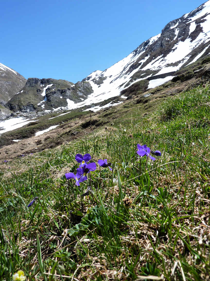 #17 Moins de 5 minutes de portage. : mais ça sent la fin de saison. Moins de 5 minutes de portage. : mais ça sent la fin de saison.