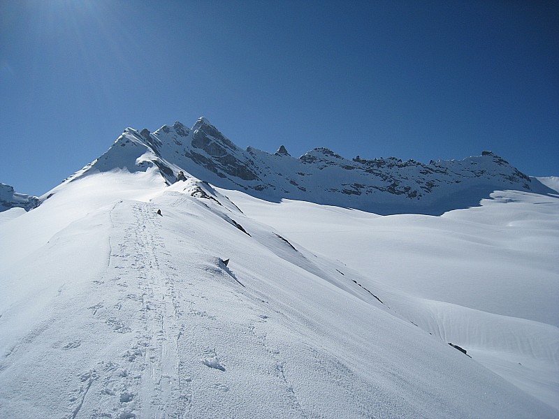 #3 Sommet : Du col de Trièves, vue sur l Sommet : Du col de Trièves, vue sur l'anté-cime 3300m (premier dôme neigeux au soleil) et l'itinéraire de montée.