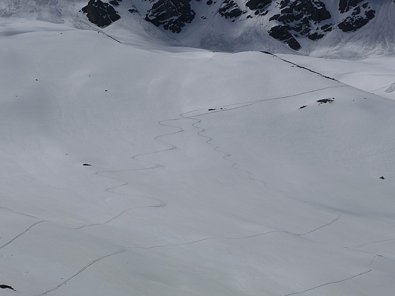 Traces : La quelle est à qui ?