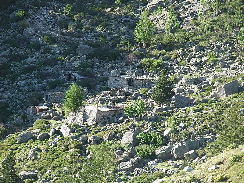 #1 Bergeries : Passage devant les bergeries de Timozzu. Bergeries : Passage devant les bergeries de Timozzu.