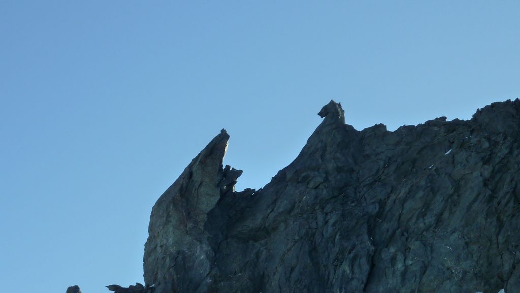 #4 Animal etrange : dragon ou hippocampe ?? Animal etrange : dragon ou hippocampe ??