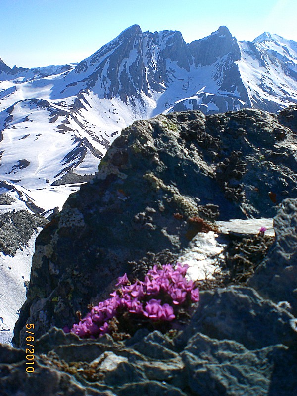 #5 Point 3033m : Pain de Sucre, Pic d Point 3033m : Pain de Sucre, Pic d'Asti et col d'Asti vus du sommet.