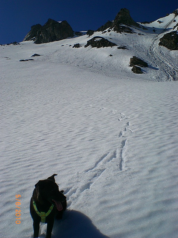 #6 Point 3033m : Descente du versant Nord, seule la 1ère partie était bonne à skier. Point 3033m : Descente du versant Nord, seule la 1ère partie était bonne à skier.