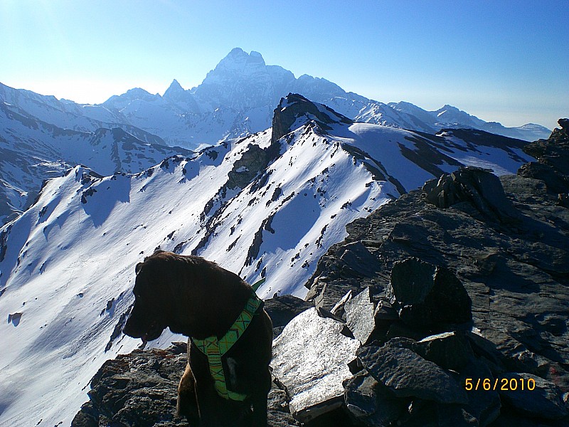 #2 Caramantran : Sur fond de Viso.
Sous le Viso : le point 3033m Caramantran : Sur fond de Viso.
Sous le Viso : le point 3033m