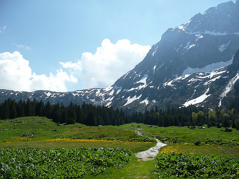 #5 Montée au lac Fourchu : En faisant du saute névé, on doit bien limiter le portage en redescendant du lac Fourchu. Montée au lac Fourchu : En faisant du saute névé, on doit bien limiter le portage en redescendant du lac Fourchu.
