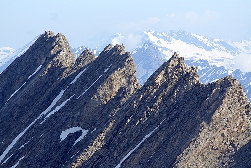 #4 Crête de la Taillante : depuis Rocca Rossa Crête de la Taillante : depuis Rocca Rossa