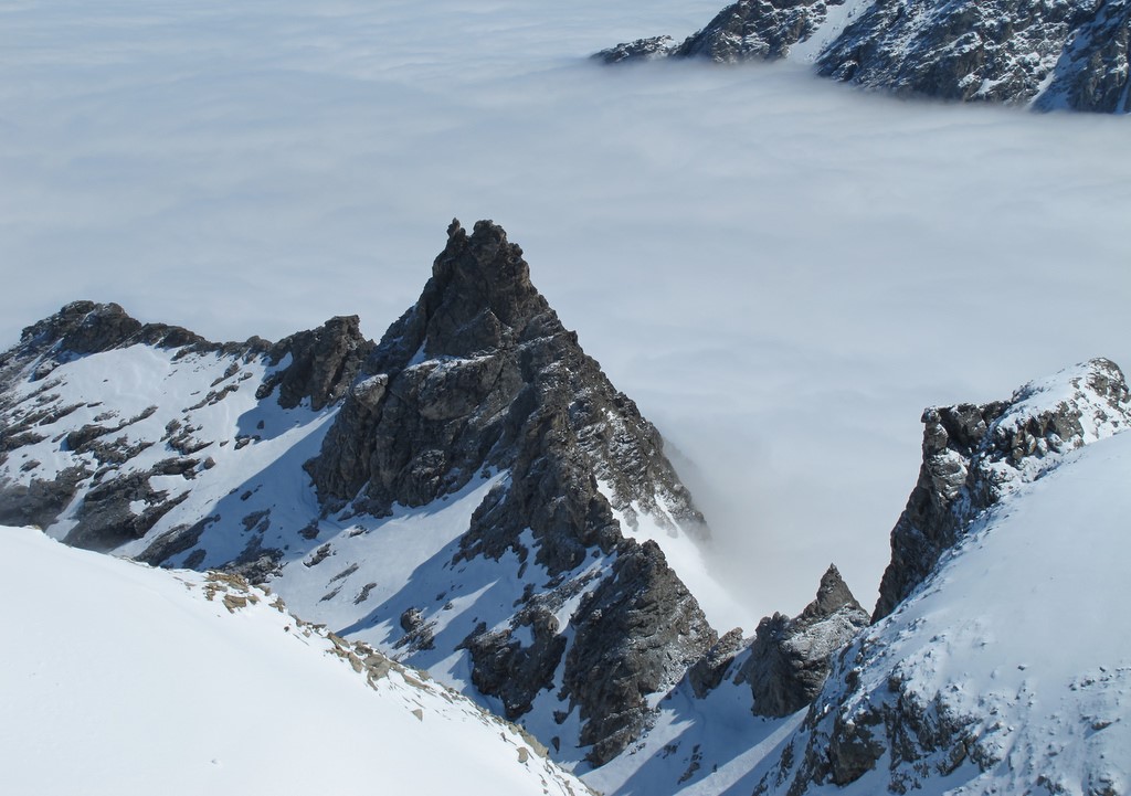 #12 Le Gd Cordonnier Le Gd Cordonnier