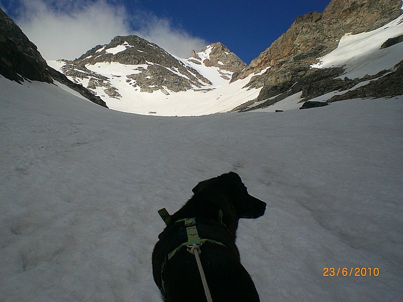 #9 Versant NE : Remontée du glacier et ravin Galambra, au dessus des lacs delle Monache.
Au fond le Truc Peyron. Versant NE : Remontée du glacier et ravin Galambra, au dessus des lacs delle Monache.
Au fond le Truc Peyron.