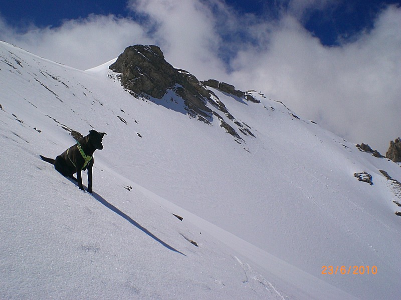 #13 Cima Vallonetto : La pente NW et le sommet Cima Vallonetto : La pente NW et le sommet