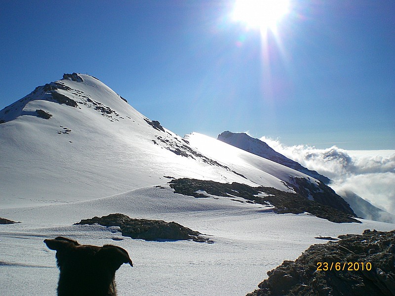 #2 Sommeiller : Pointe d Sommeiller : Pointe d'Ambin