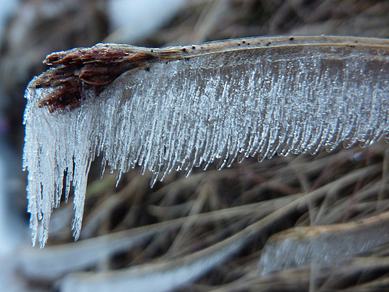 #4 Givre : On ne se lasse pas de toutes ces constructions effémères Givre : On ne se lasse pas de toutes ces constructions effémères