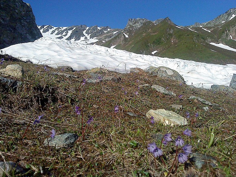 #1 dent du Pra : c dent du Pra : c'est l'été !!! mais la neige est encore présente
