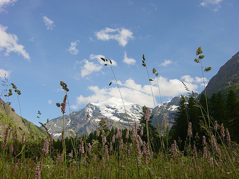 #1 Paysage : Avant d Paysage : Avant d'arriver....