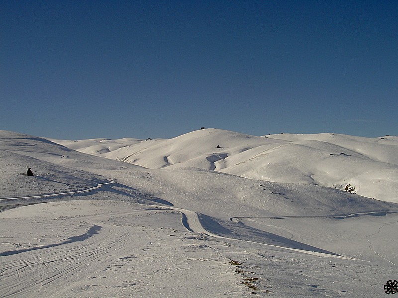 #3 les pistes de fond : nos amis canadiens les arpentent les pistes de fond : nos amis canadiens les arpentent