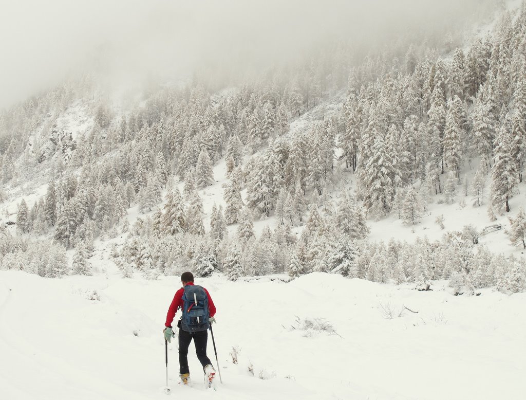 #1 Paysage d Paysage d'hiver