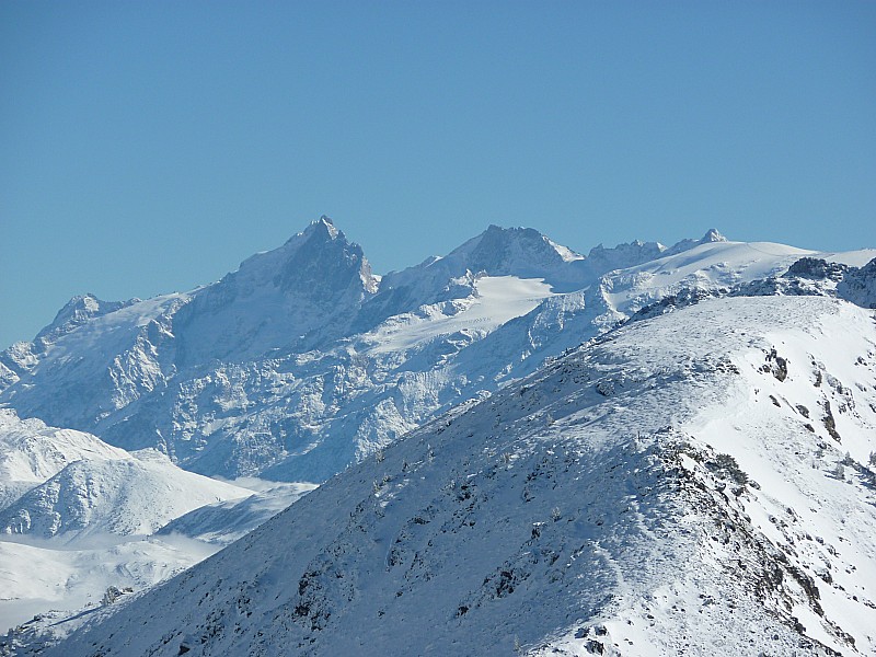 #12 Dame Meije : Salut respectueux Dame Meije : Salut respectueux