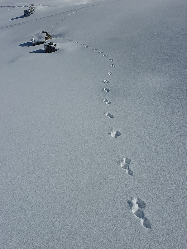 #15 Traces : On était pas seul Traces : On était pas seul