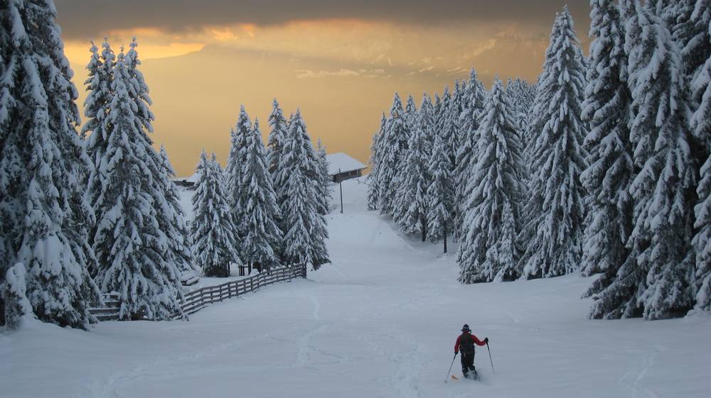 Sapins chargés : en face, la Chartreuse s'embrase