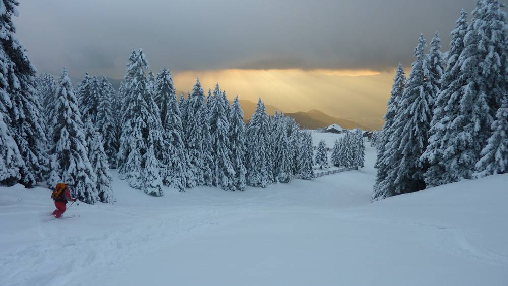 Bas de la piste : la meilleure portion pour la neige