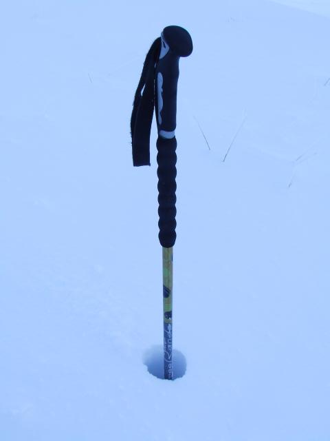#2 Cote 2000 : 40/50cms en haut des pistes Cote 2000 : 40/50cms en haut des pistes