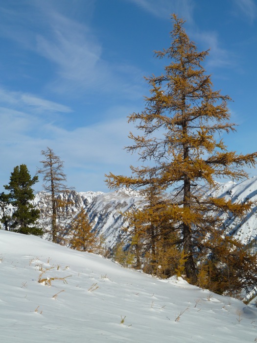 Bord de piste : Faut en profiter de ces couleurs ça ne va pas durer