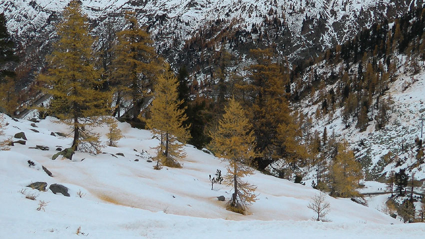 #18 Le neige prend des couleurs Le neige prend des couleurs