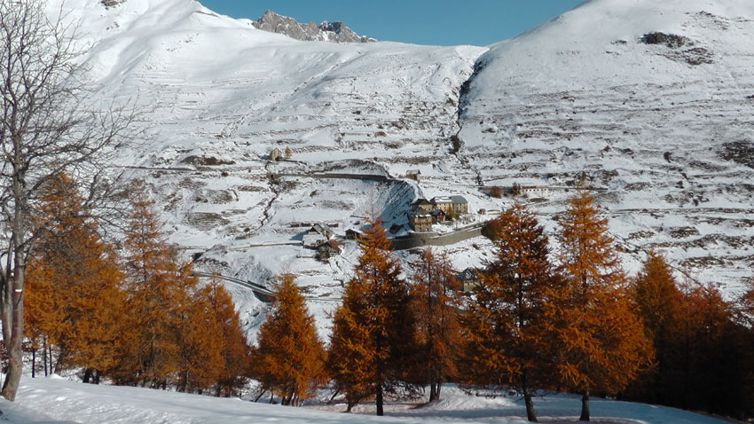 #6 Bouseyas prend ses quartiers d Bouseyas prend ses quartiers d'hiver