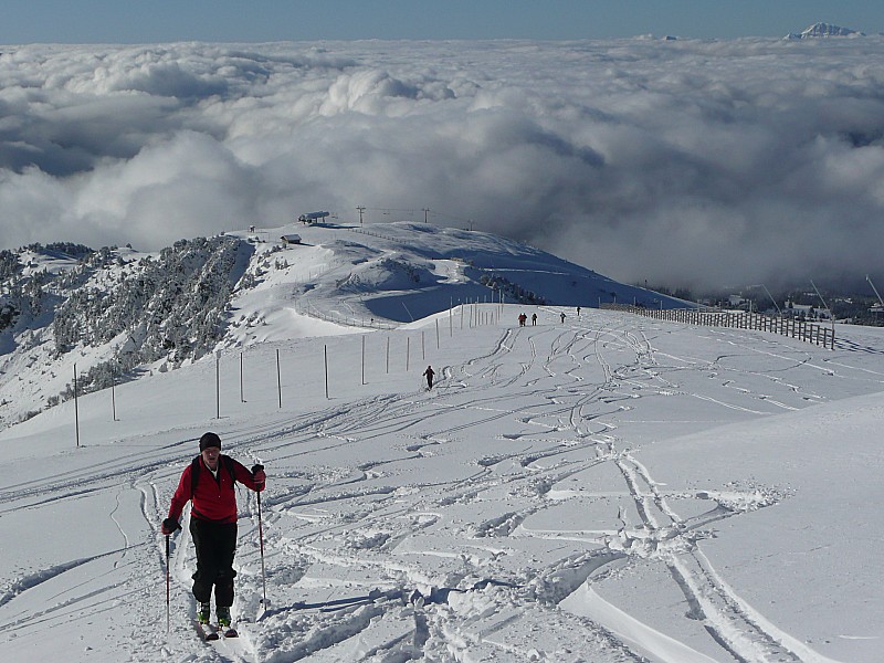 #6 ça bourgeonne déja : 10h.. il ya déja eu du passage, et c ça bourgeonne déja : 10h.. il ya déja eu du passage, et c'est pas fini.