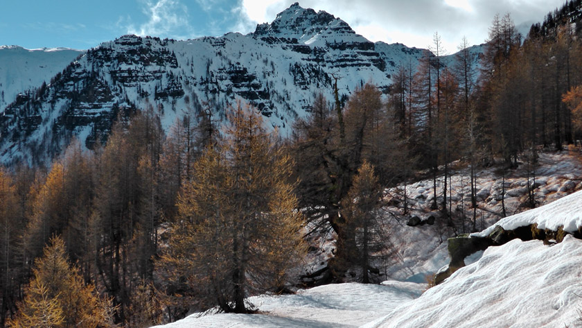 Ca y est ! la neige retrouve son blanc habituel ... et sa glisse !
Serre de la Braissa en A/R plan (Tête ronde)