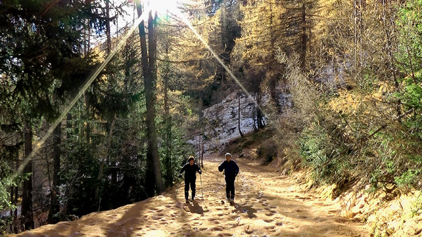 Départ sous le soleil mais sur une couche d'aiguilles de mélèzes