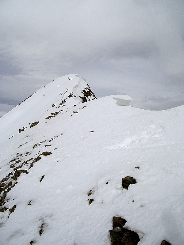 #6 Sommet de l Sommet de l'Herpie : vue du sommet