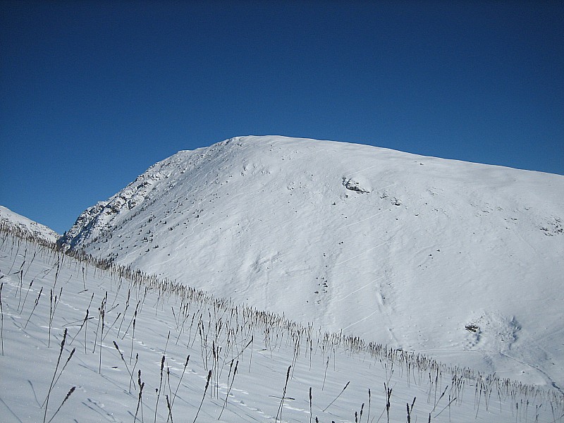 #5 Les Buffes : Le sommet voisin des Buffes ou il y a avait une trace ce jour. Mais gare aux skis là bas avec l Les Buffes : Le sommet voisin des Buffes ou il y a avait une trace ce jour. Mais gare aux skis là bas avec l'enneigement actuel!