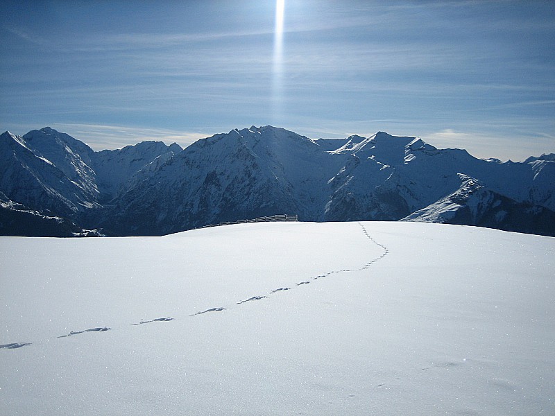 #4 Trace : Une trace de lièvre sur fond d Trace : Une trace de lièvre sur fond d'Ecrins; beaucoup de traces d'animaux dans le secteur. Principalement des goupils dont j' ai vu 3 ou 4 spécimens!