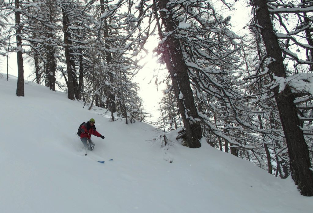 #15 L L'Eypiol : Et bon ski dans la forêt...