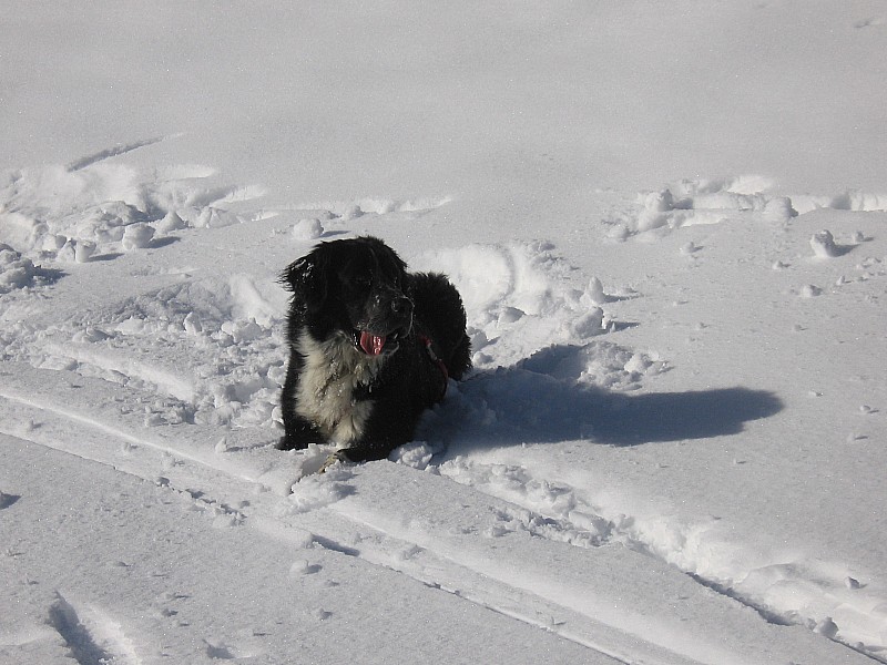 #5 yoda : hum c yoda : hum c'est bon la neige !