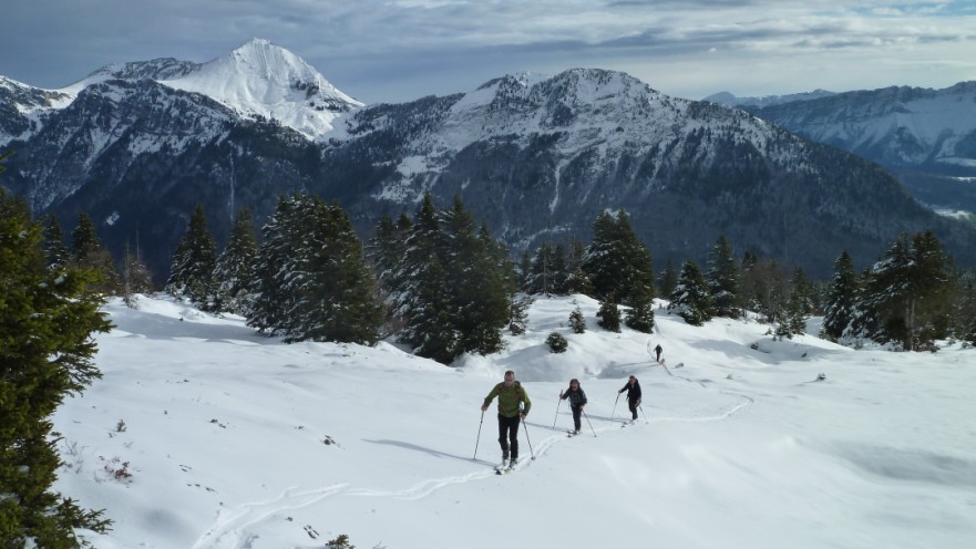 #2 Lumière : Une belle lumière à la montée Lumière : Une belle lumière à la montée