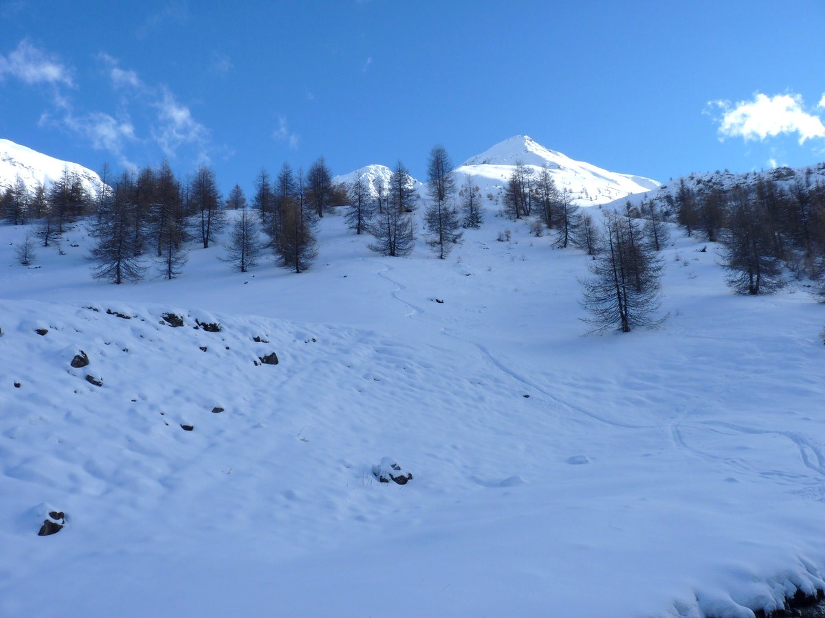 #8 Enneigement : à la côte 1796 m Enneigement : à la côte 1796 m