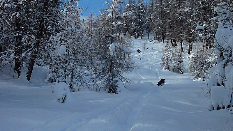 #5 crête des Peygus : descente, bonne poudreuse crête des Peygus : descente, bonne poudreuse