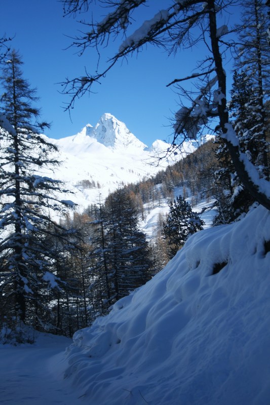 #7 Bric Bouchet : le seigneur des lieux Bric Bouchet : le seigneur des lieux