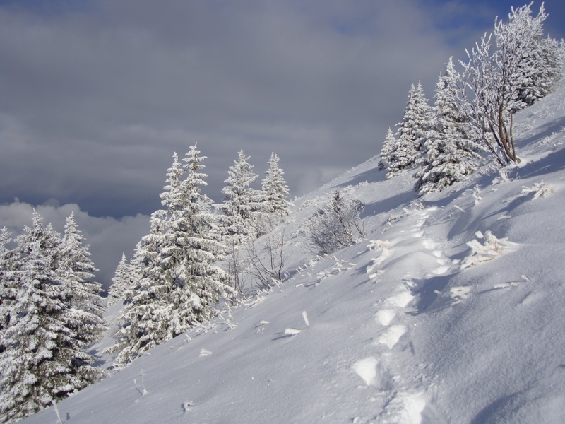 #4 Beaux Paysages : Quelques paysages plutôt sympa vers le sommet Beaux Paysages : Quelques paysages plutôt sympa vers le sommet