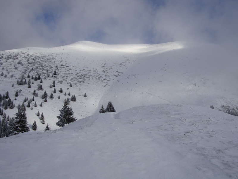 #2 Le petit Mole : Sommet vu depuis le Petit Mole Le petit Mole : Sommet vu depuis le Petit Mole