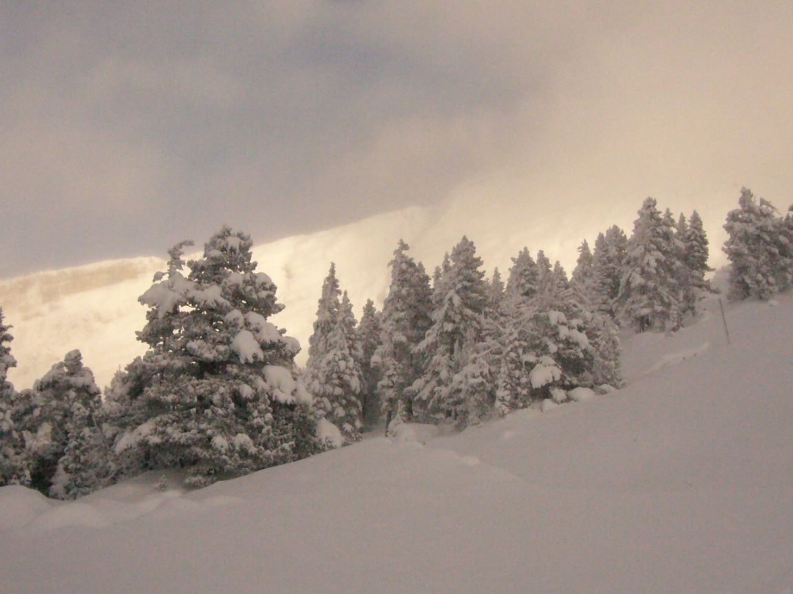 #2 paysage : une idée de l paysage : une idée de l'enneigement vers 1700m
