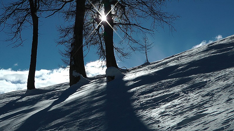 Dans la foret de Pra de Gazé