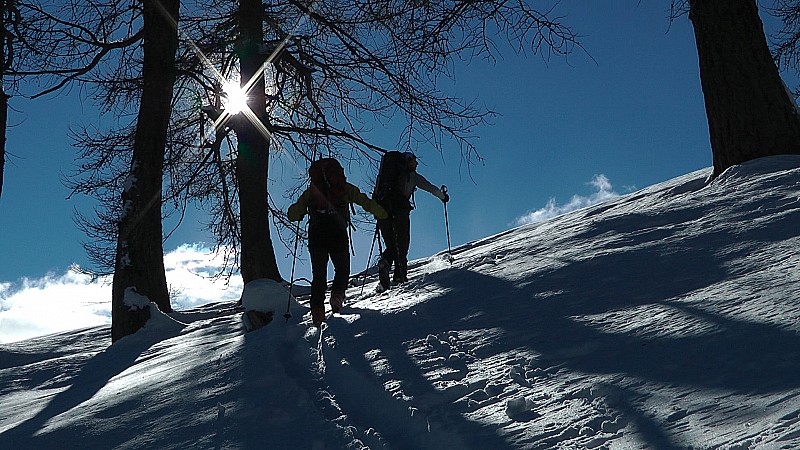 Dans la foret de Pra de Gazé