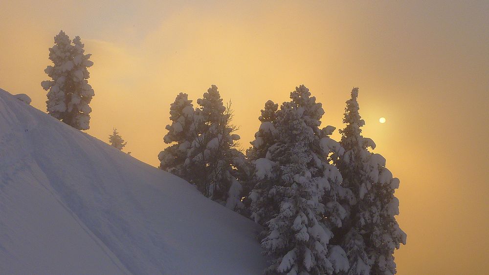 Eclipse : sapins bien chargés